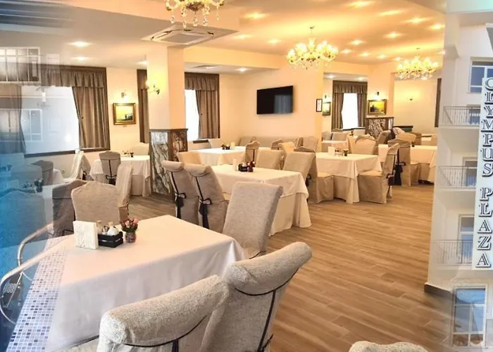 Otel Olympus Plaza - & Indoor Pool 4*