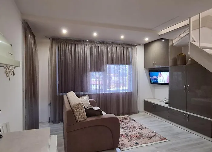 Hotel Olympus Plaza - & Indoor Pool